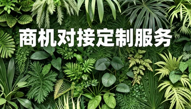 企业网站开发哪家好，采购供应如何精准对接